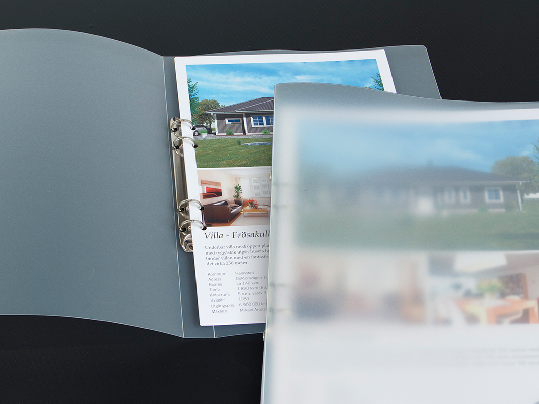 Ringpärm - frostad Ringpärm - frostad