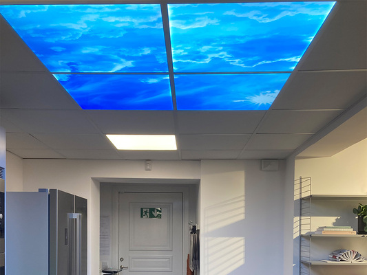 Virtuellt takfönster